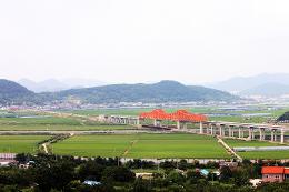 첨부 이미지: 20090730 칠산교(부산신항)6